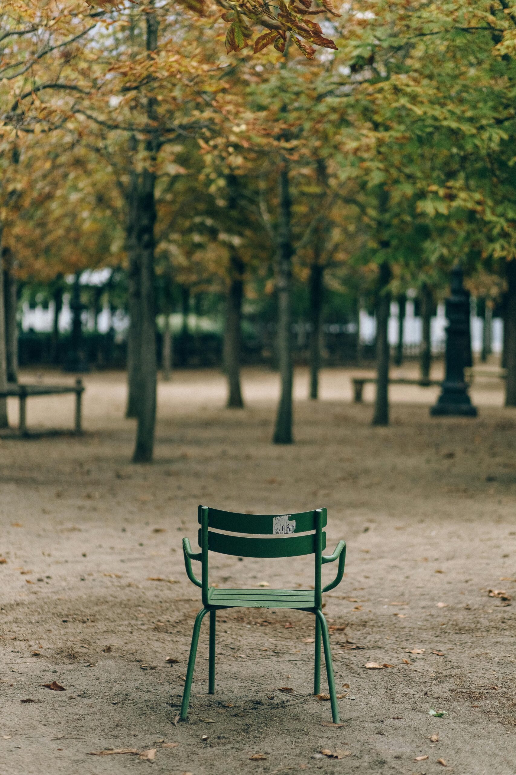 A single green chair sits in a serene Paris park during autumn, surrounded by trees.