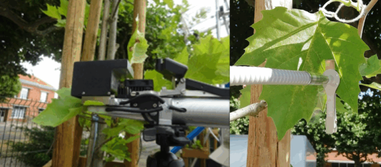 ANR sTREEt, mesure des échanges gazeux et de la fluorescence chlorophyllienne